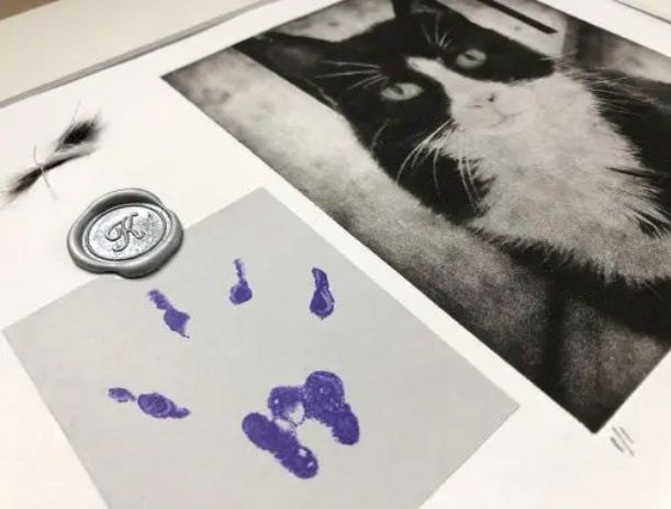 pet memorial collage
