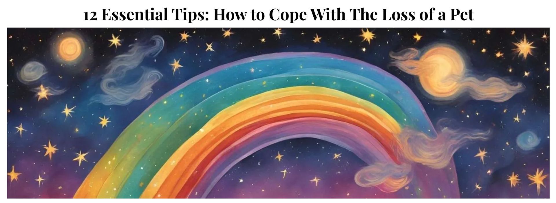 12 essential tips cover