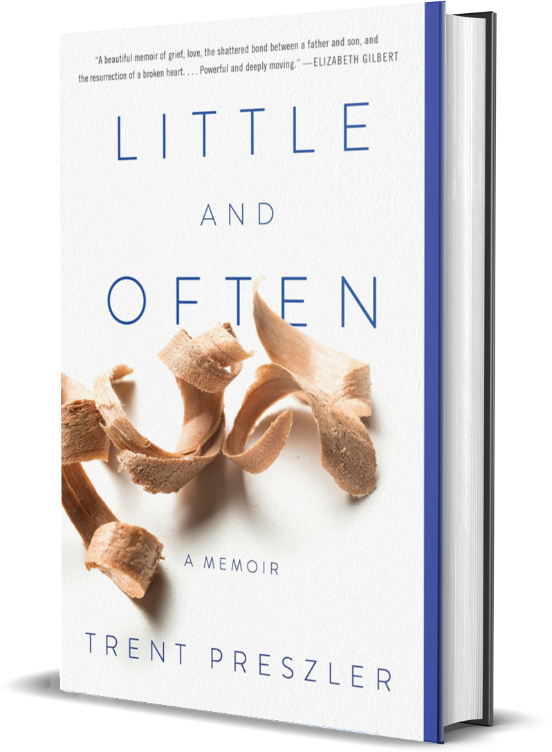 Look Twice Book