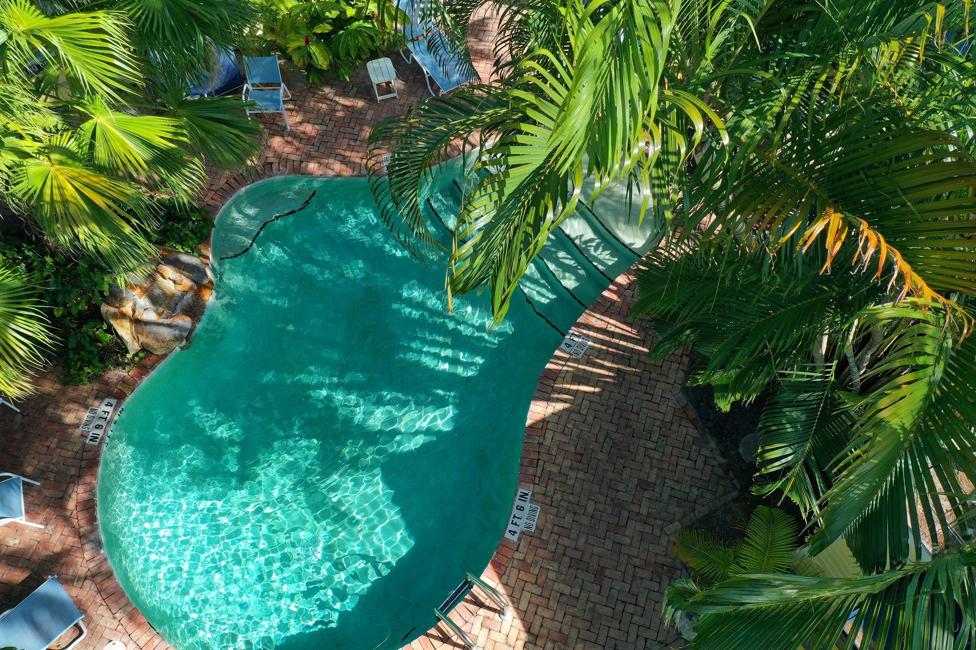 Overhead view of a green, freeform swimming pool surrounded by palm trees and brick patio.