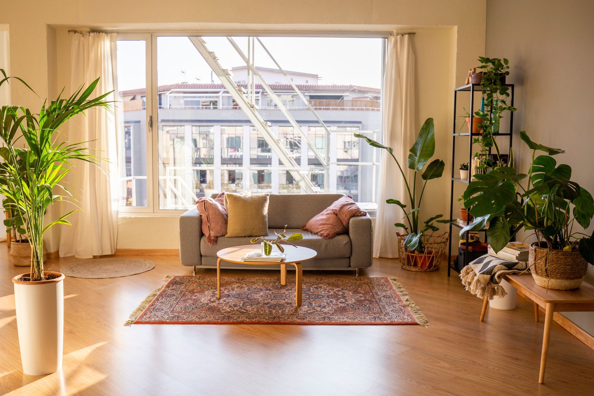 Living room with a gray sofa, plants, rug, and large window overlooking a city.