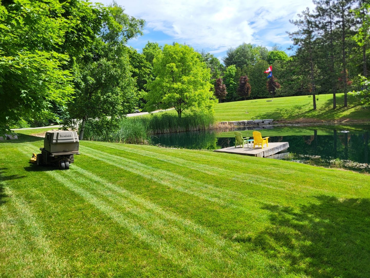 Professional and Commercial Summer & Winter Maintenance  in Guelph 