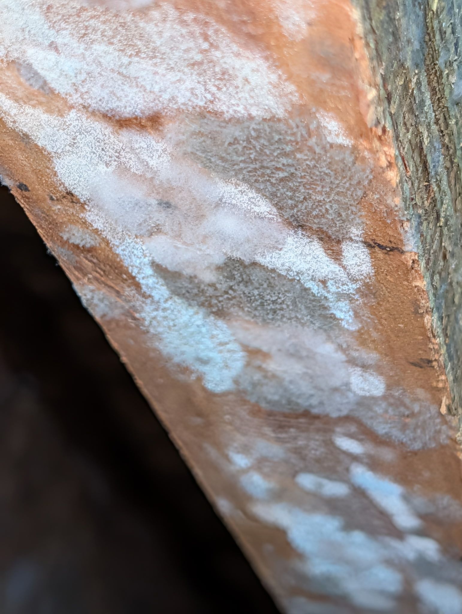 Rusty, weathered metal surface with white corrosion streaks and a dark background