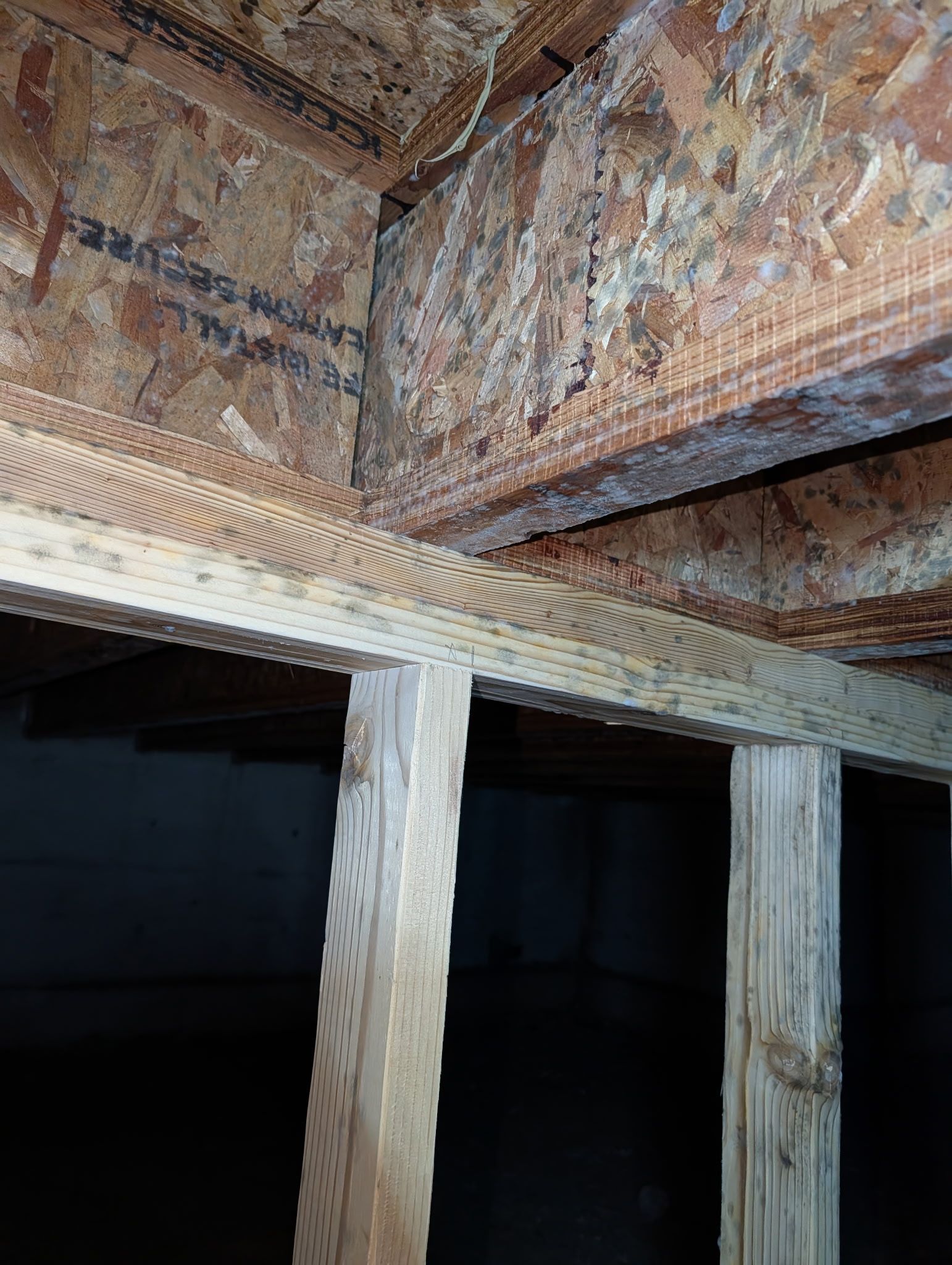 Close-up of rough wooden beams and vertical posts in a dim unfinished structure