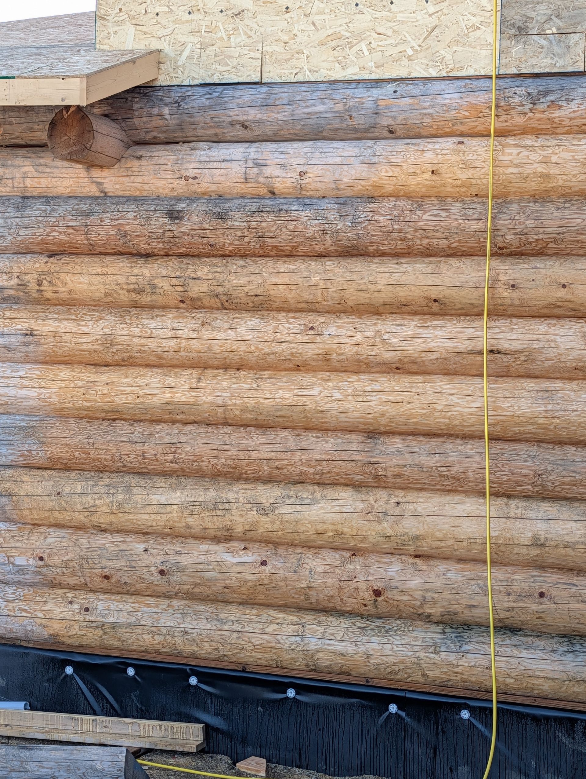 Close-up of weathered log wall with a yellow measuring tape hanging beside it.