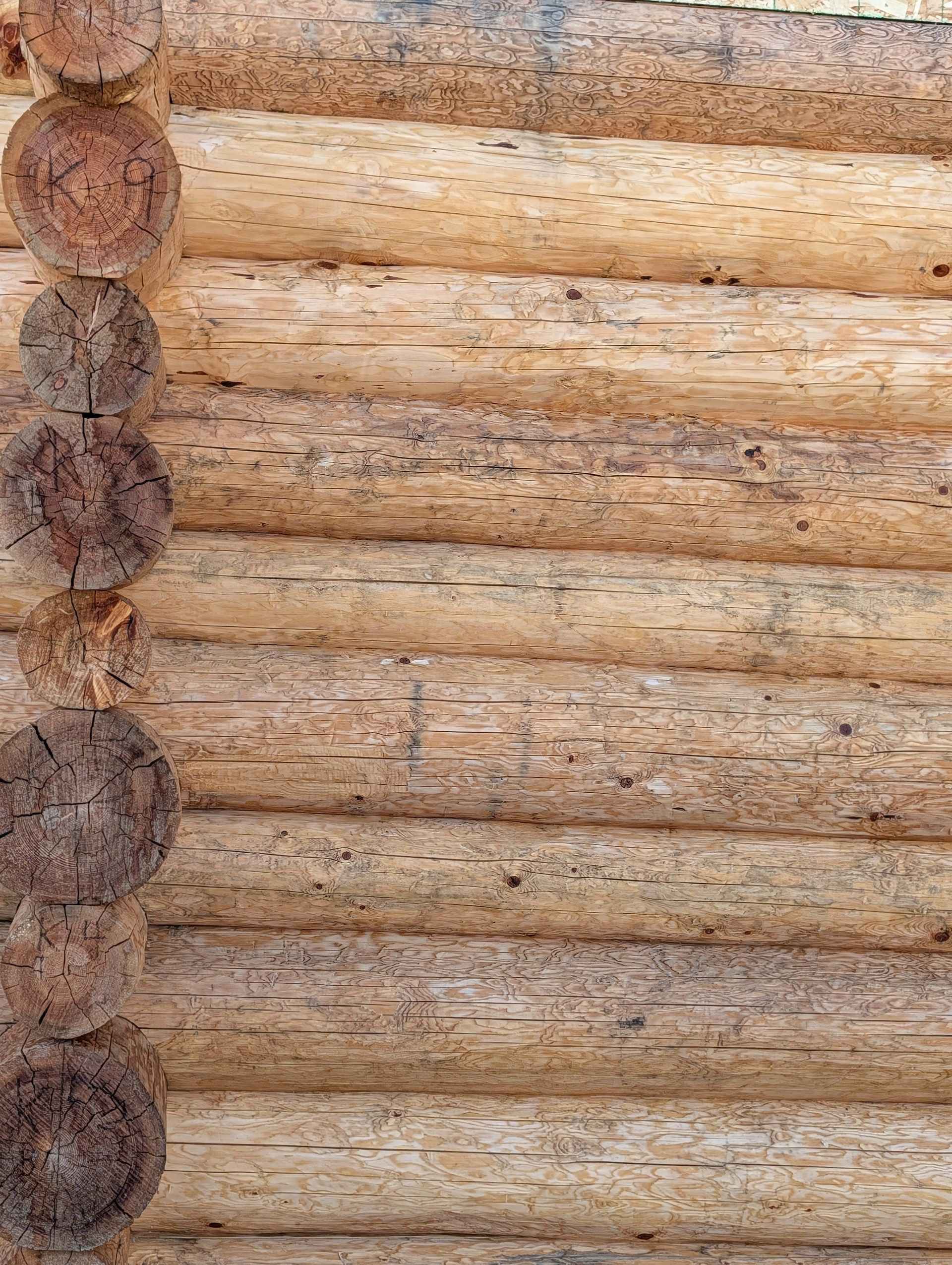 Close-up of rustic log cabin wall with horizontal logs and chinking seams