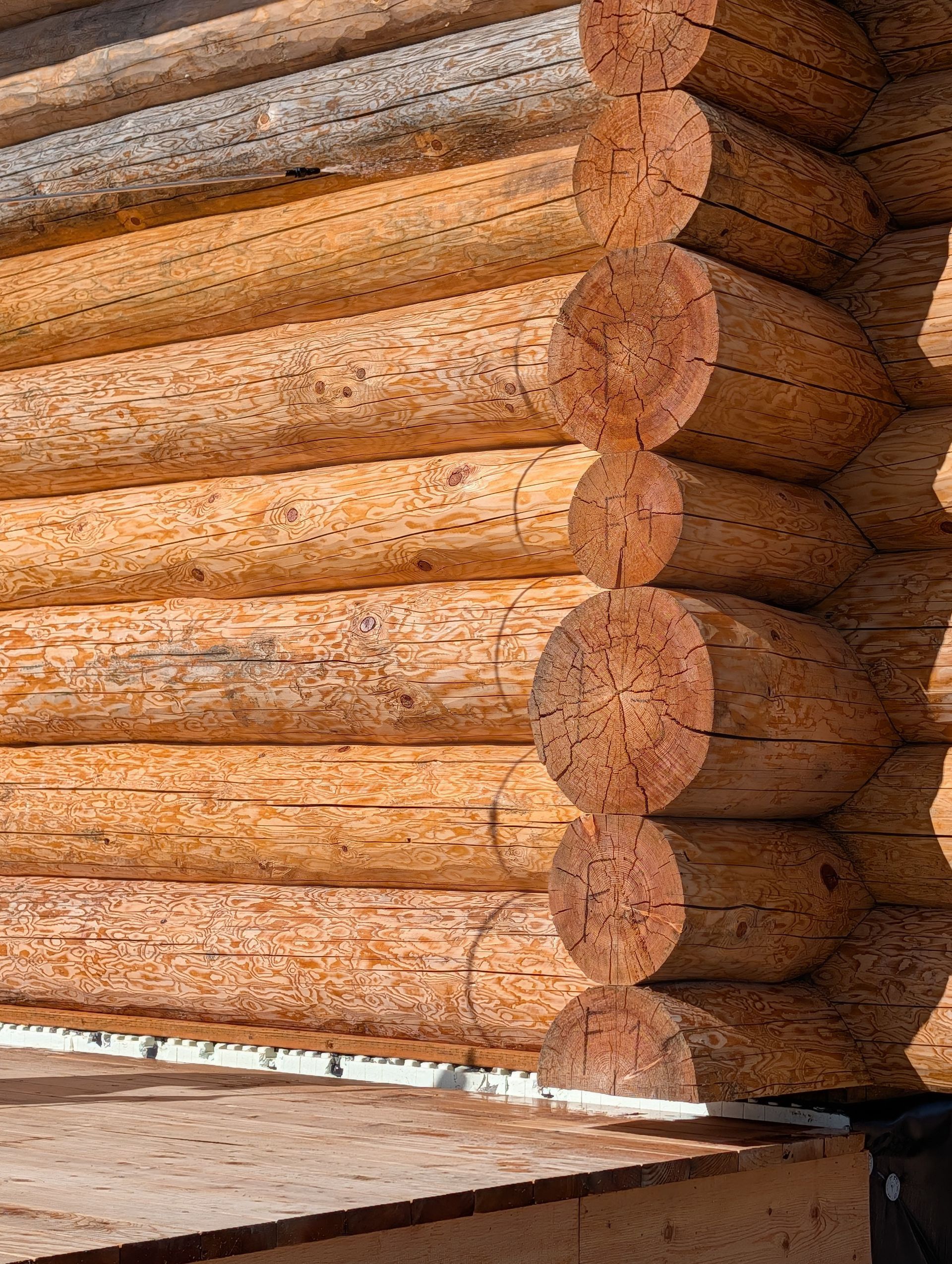 Stacked peeled logs with visible cut ends, forming a log cabin wall in a timber yard