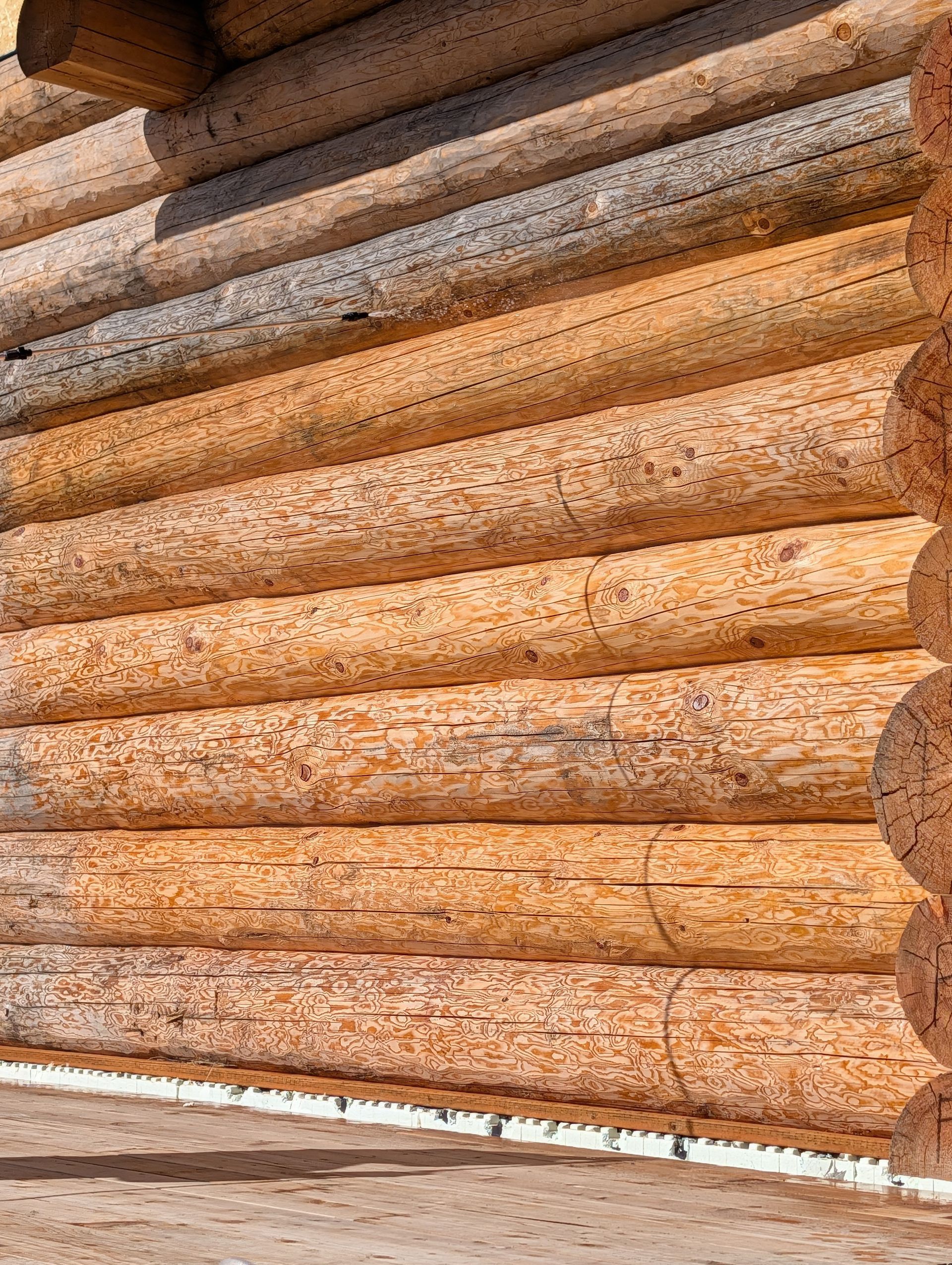 Close-up of stacked log cabin walls made of rounded, weathered timber beams.