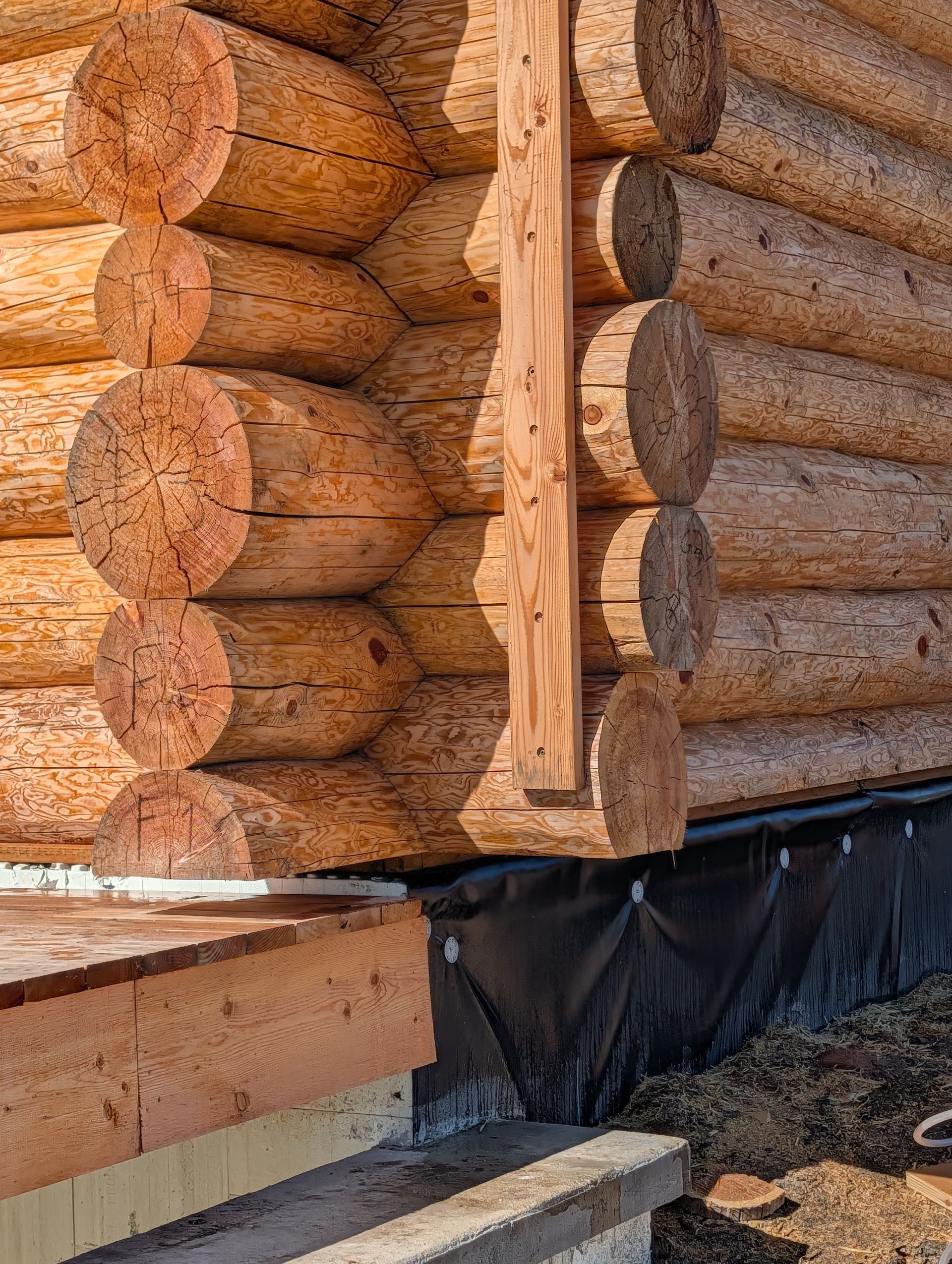 Close-up of stacked log cabin walls with timber corners and a black waterproof base layer