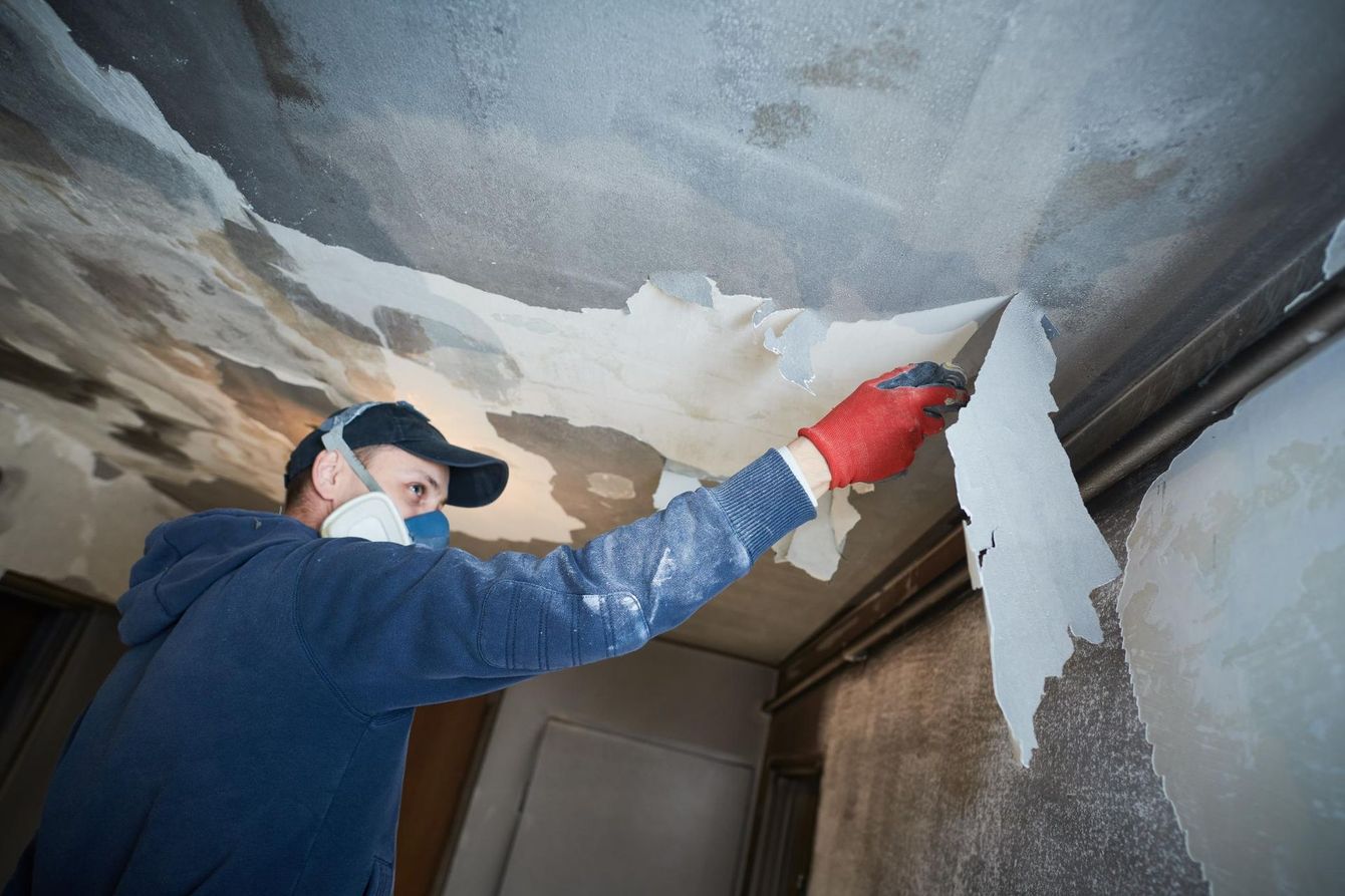 Person wearing a respirator and gloves removing peeling ceiling paint.