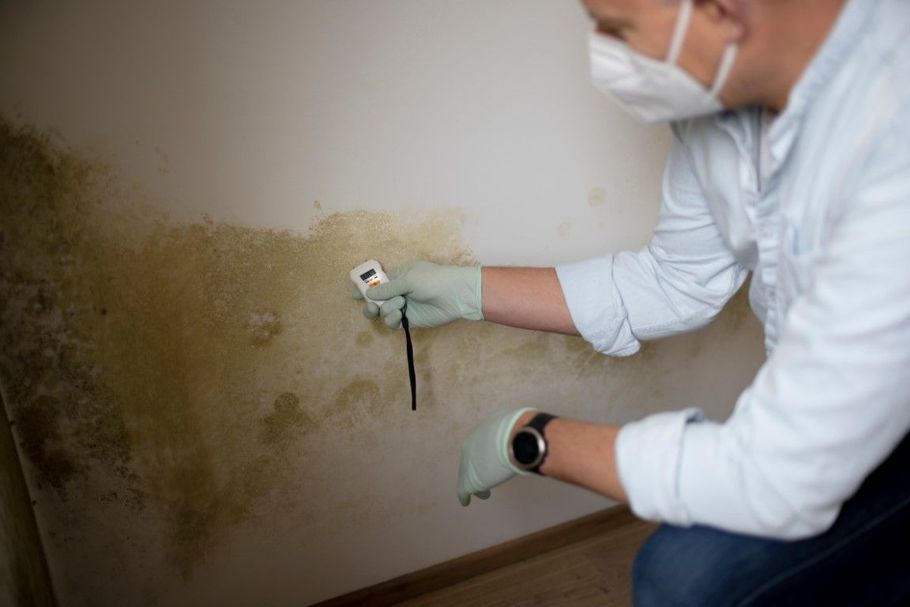 Person inspecting mold on a wall with a moisture meter, wearing gloves and a mask.