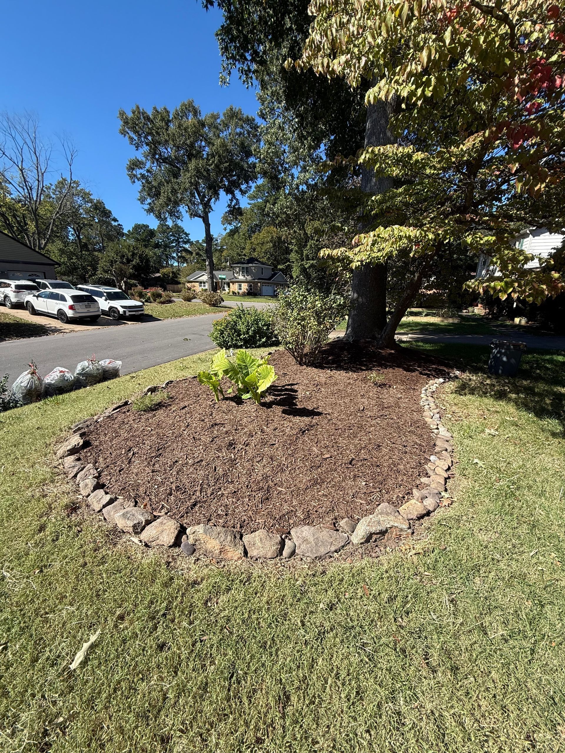 Front yard landscaped bed with mulch and stone border around a tree, beside a grassy lawn and street.