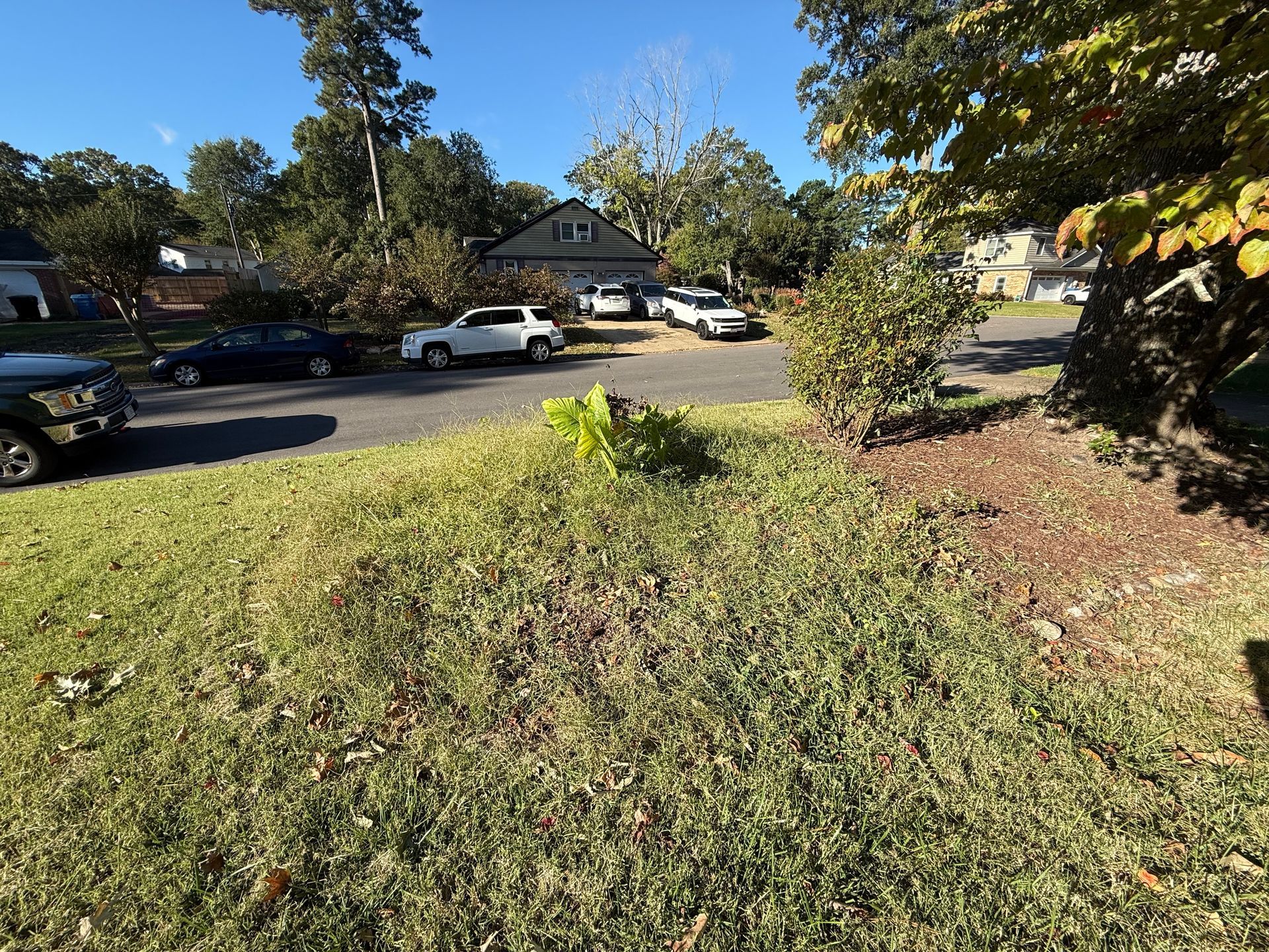 Overgrown yard by a waterfront, with dry grass, shrubs, and a small building under a bright blue sky