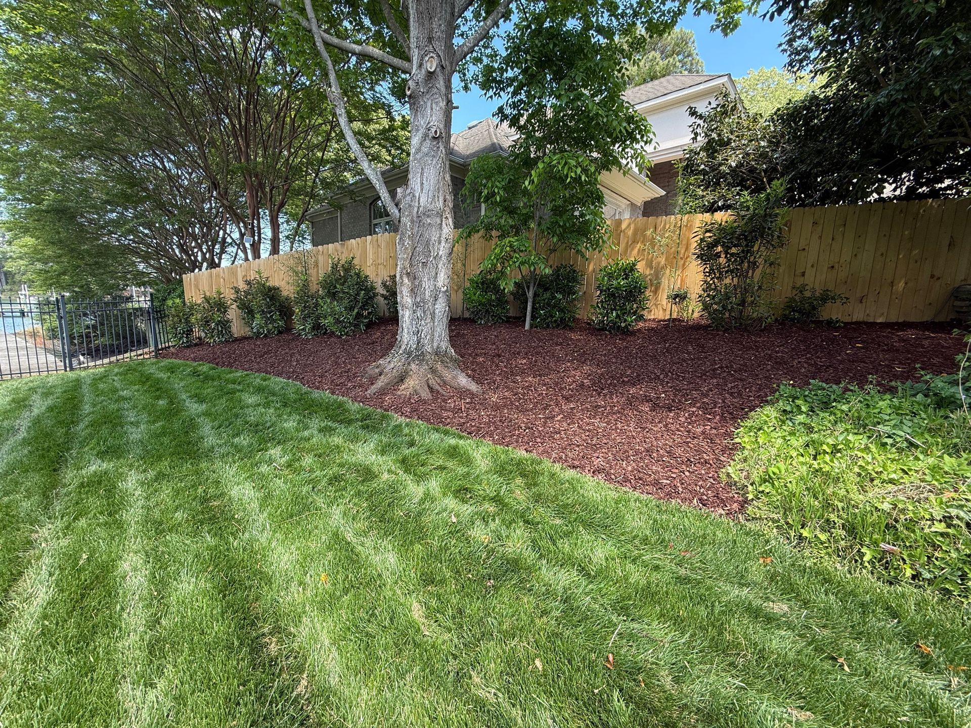Tree-lined grassy slope with red mulch along a wooden fence in a residential yard