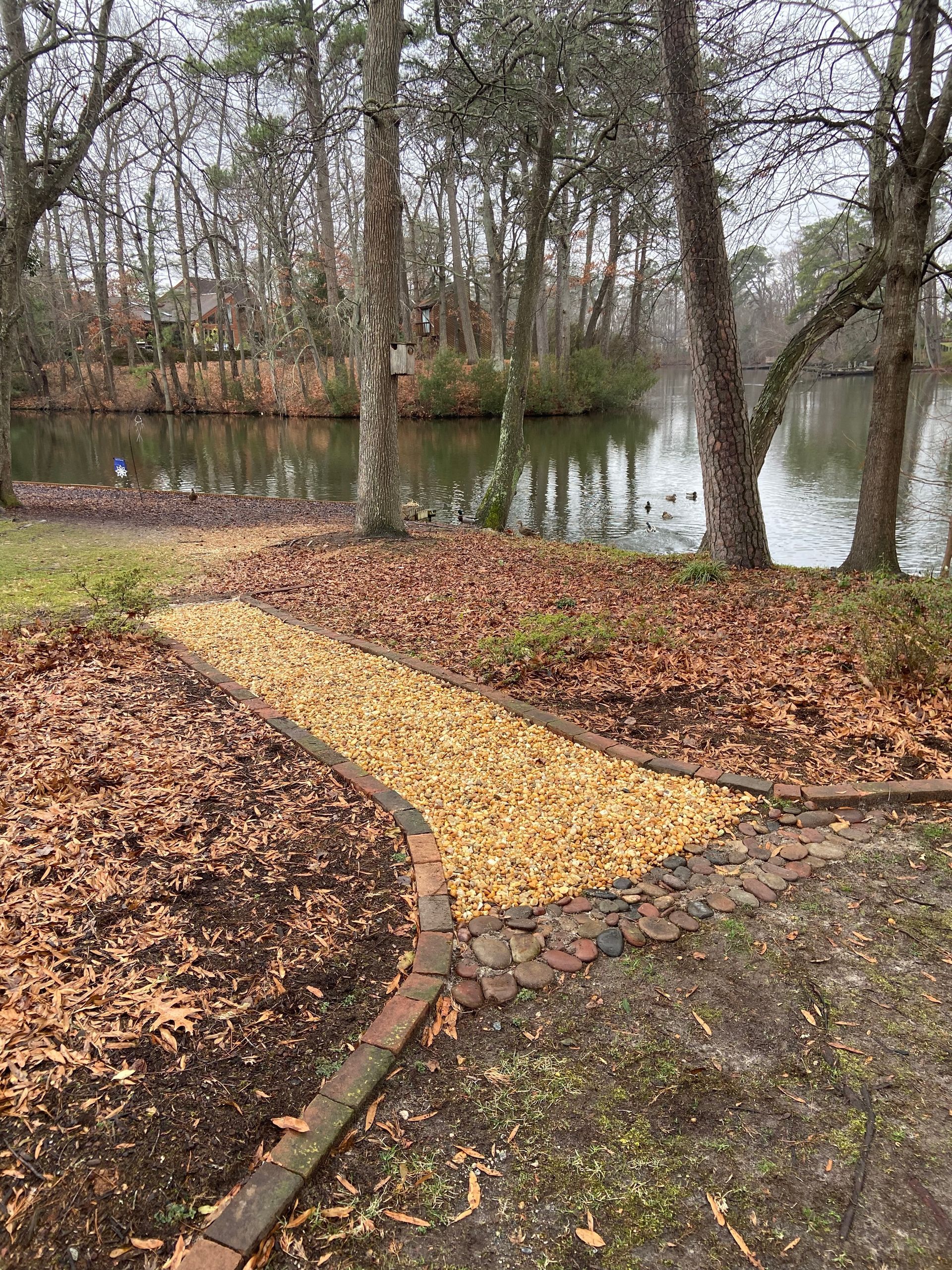 Wooded riverside path with yellow gravel ramp, leaf-covered ground, and water beyond.