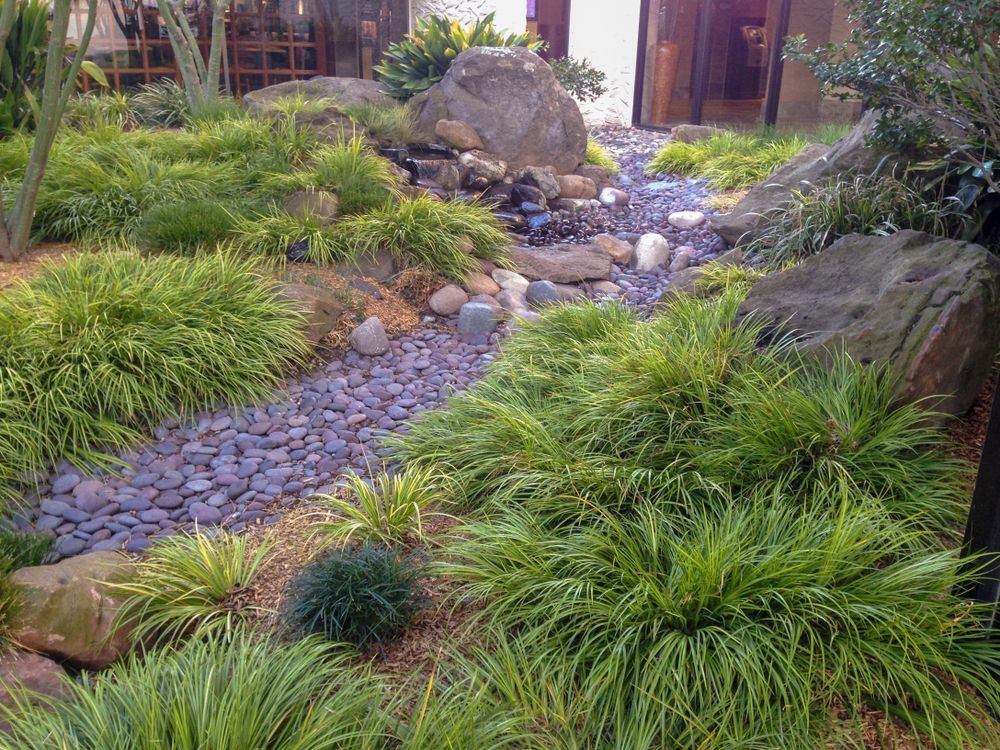 Rock garden path with purple pebbles, green grasses, boulders, and a wooden fence in the background