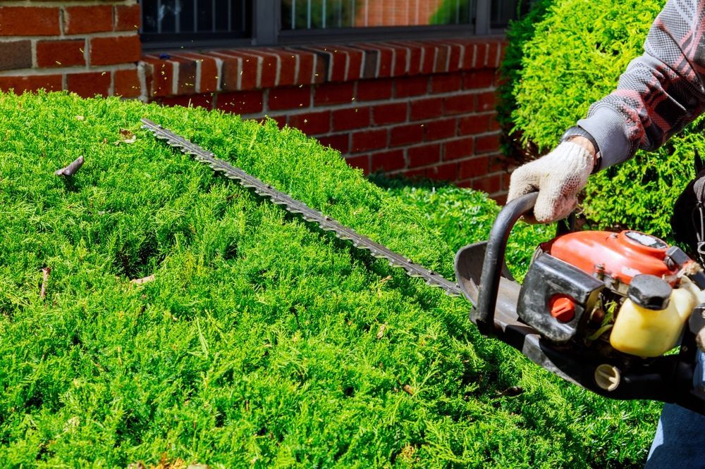 Person trimming a green hedge with an electric hedge trimmer beside a brick house