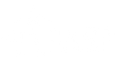 Blank white background.