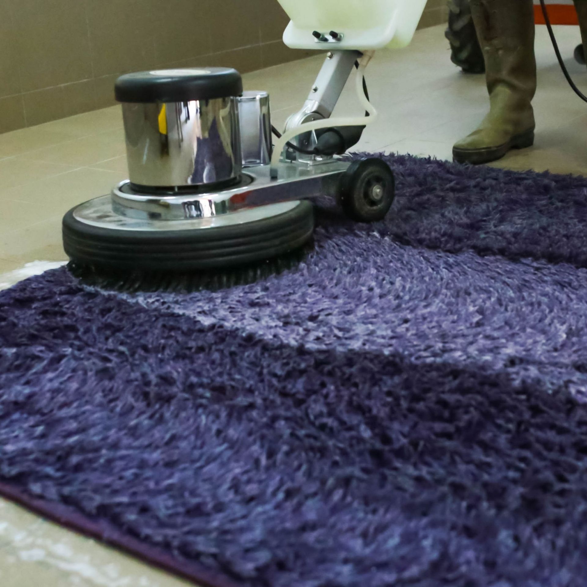 Arizona Carpet and Tile Steamers, Inc.- 