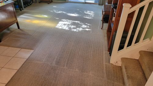 Arizona Carpet and Tile Steamers, Inc.- Local carpet cleaners in Mesa, AZ delivering full-room carpet care and stain removal