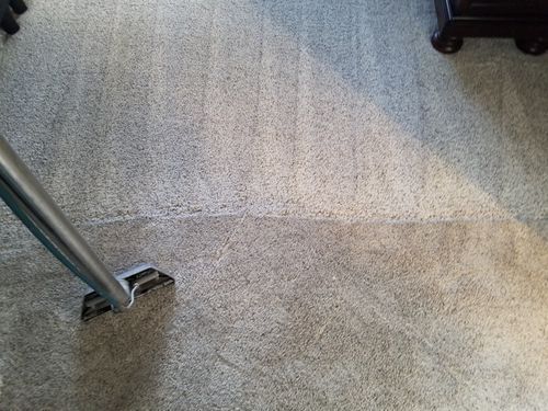 Arizona Carpet and Tile Steamers, Inc.- A person is using a steam cleaner to clean a carpet.