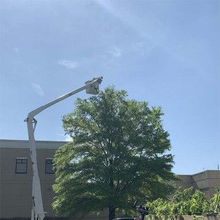 A man is cutting a tree with a crane in front of a building.