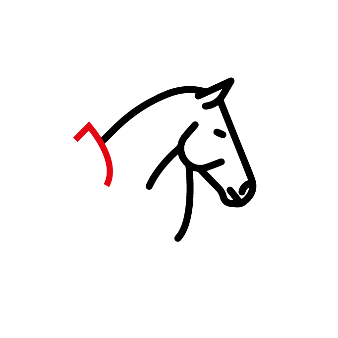 Gestileerde paardenkop in zwart-wit met een rood accent op een effen achtergrond.