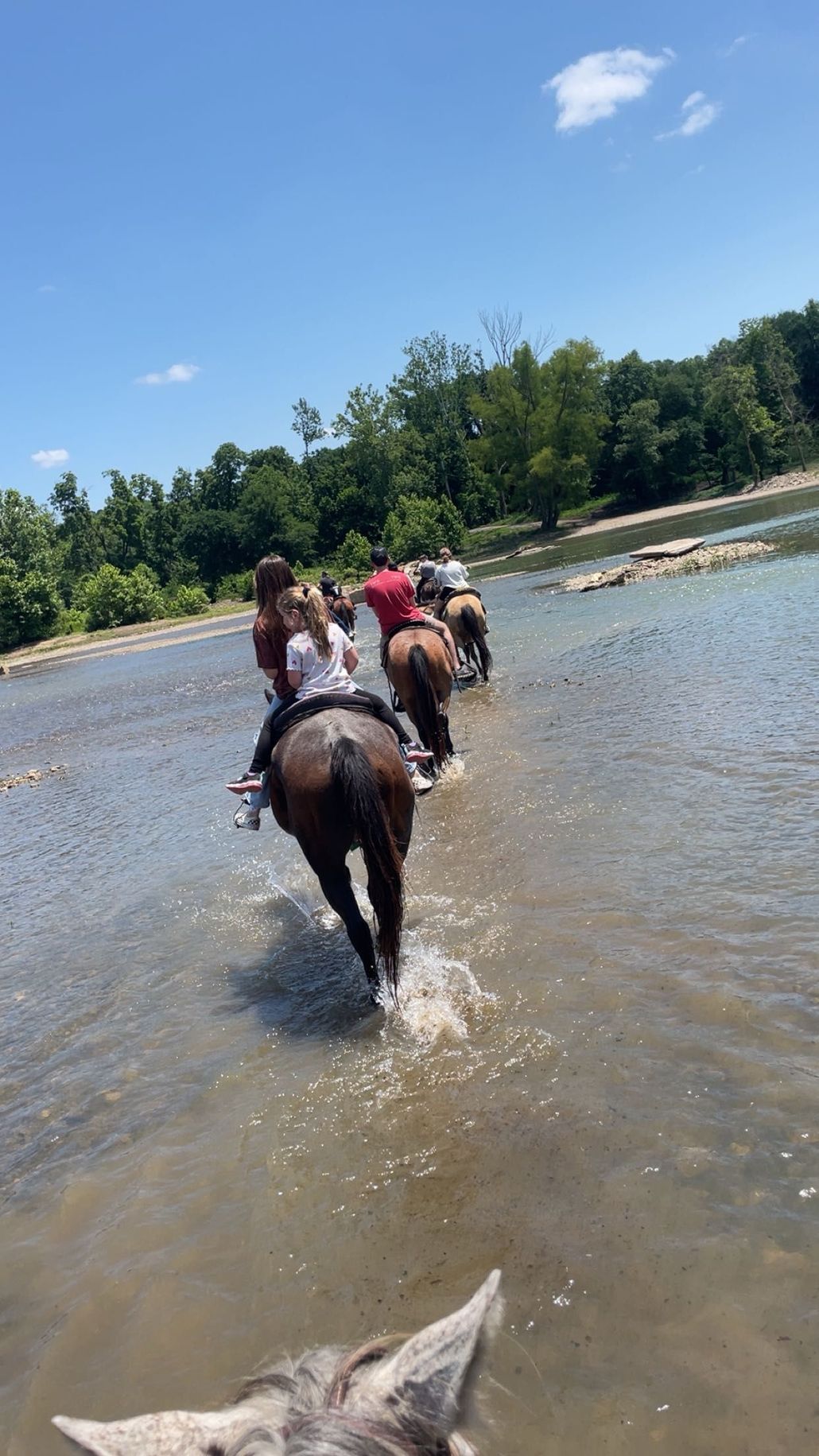 Horse riders wade through a shallow river beneath a blue sky, viewed from behind.