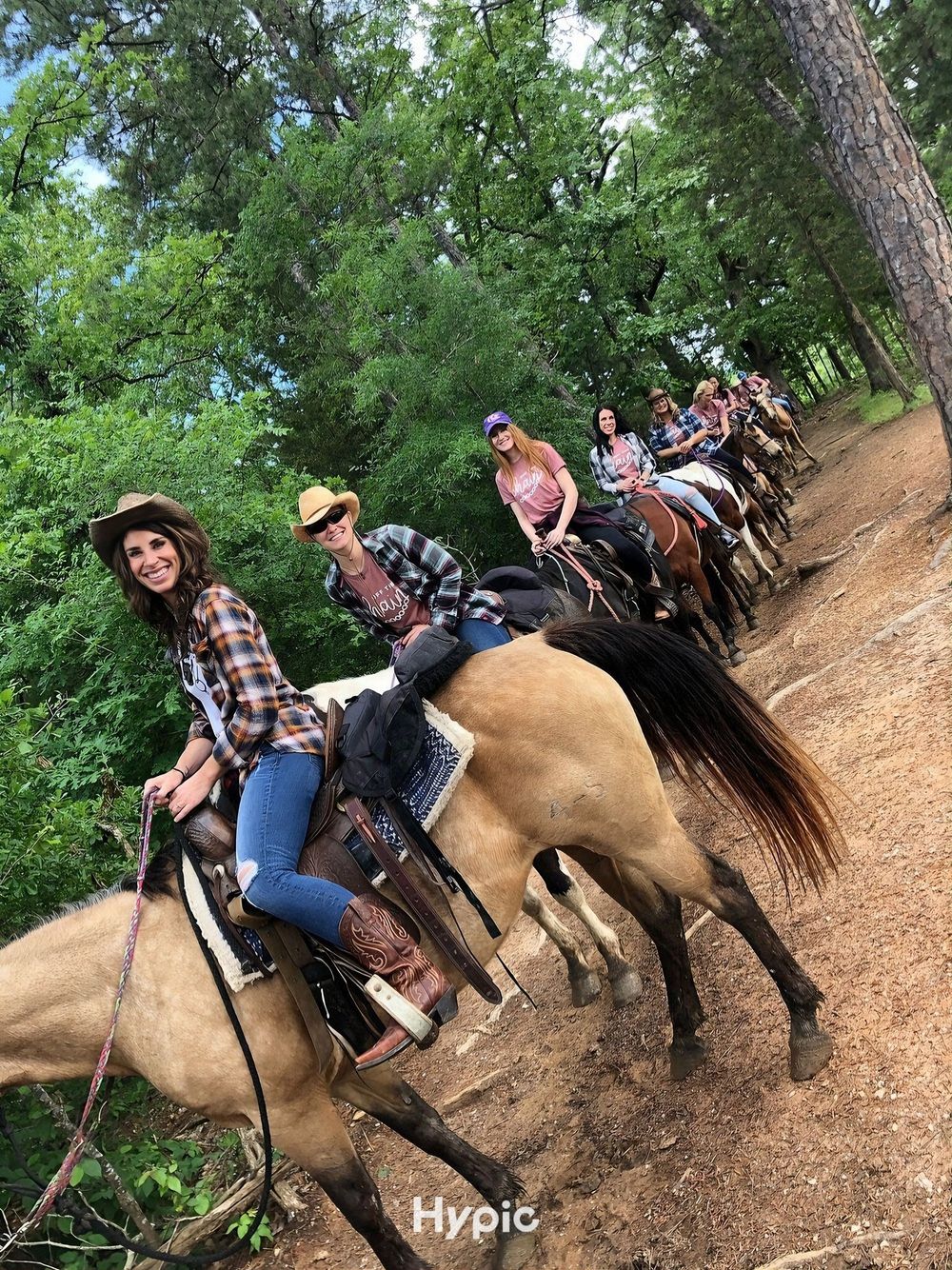 Group of riders on horses on a wooded trail, leading through trees and dirt path