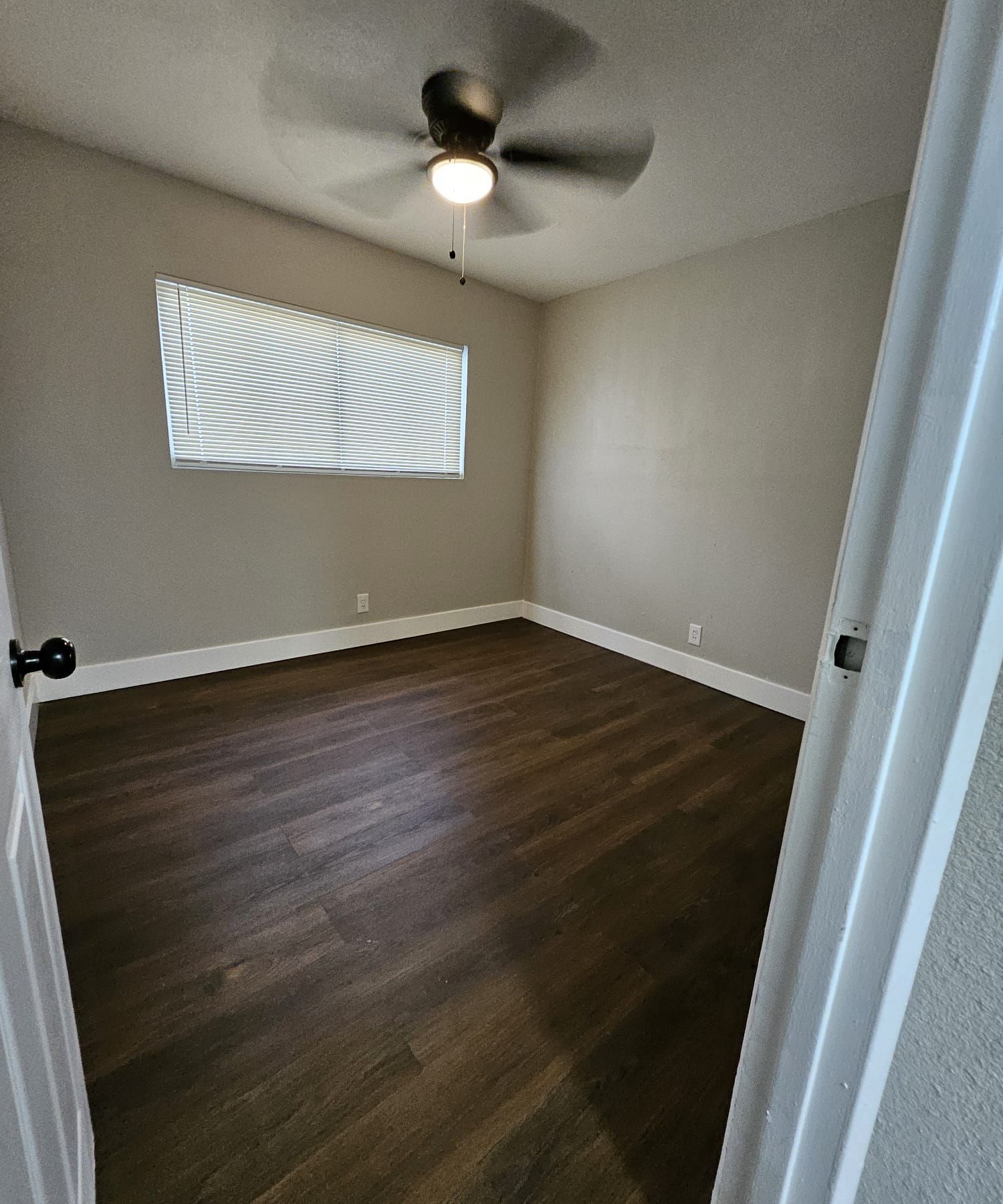 Empty bedroom with dark wood floors, gray walls, window, and ceiling fan light turned on