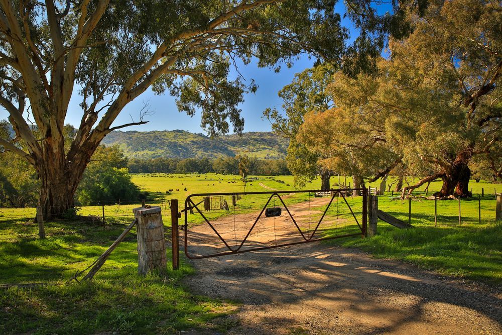 Iconic Rural Australia — Real Estate Agent in Moss Vale, NSW
