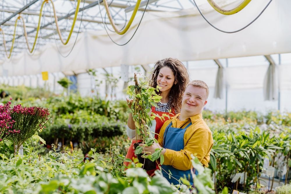 A Man and a Woman Are Working in a Greenhouse — Better Access Support Services In Logan, QLD