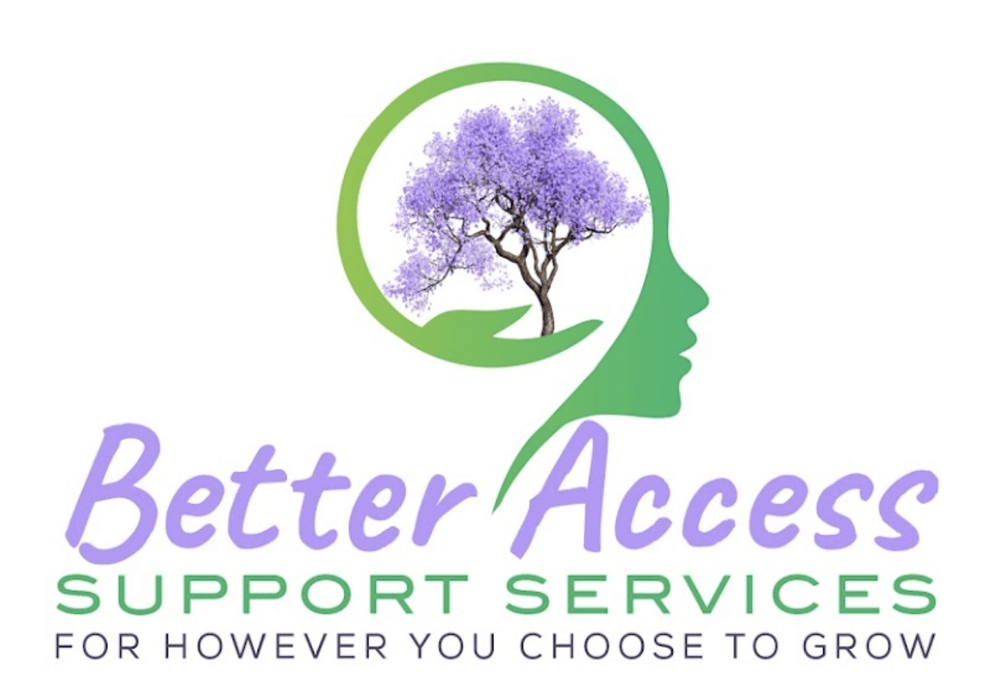 Better Access Support Services