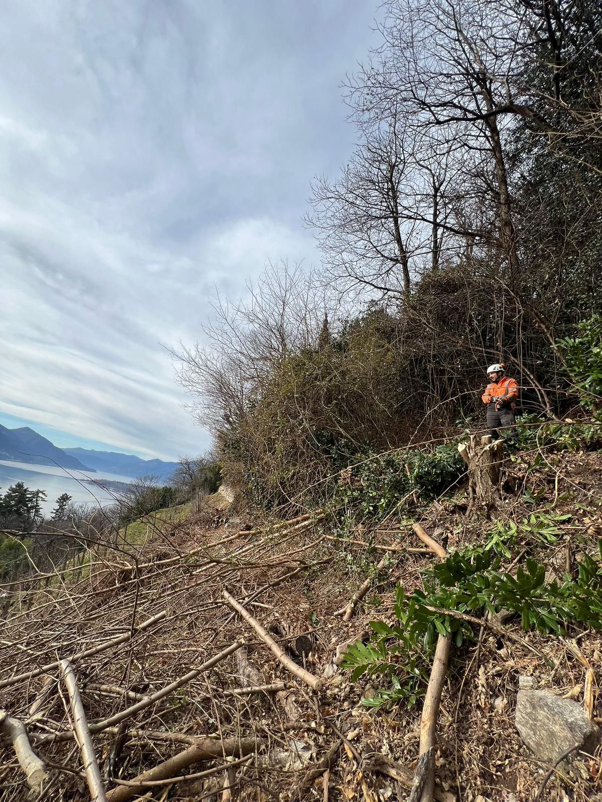 Una persona è seduta in cima a una collina nel bosco.