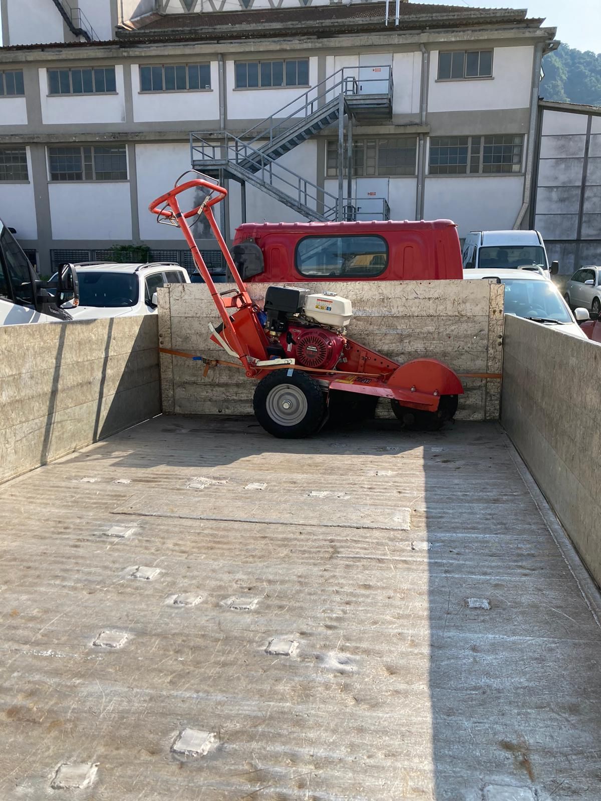 Una palma cresce sul lato di un edificio.