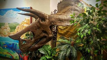 Large triceratops skull sculpture in a colorful jungle-themed exhibit with green plants and a painted mural background