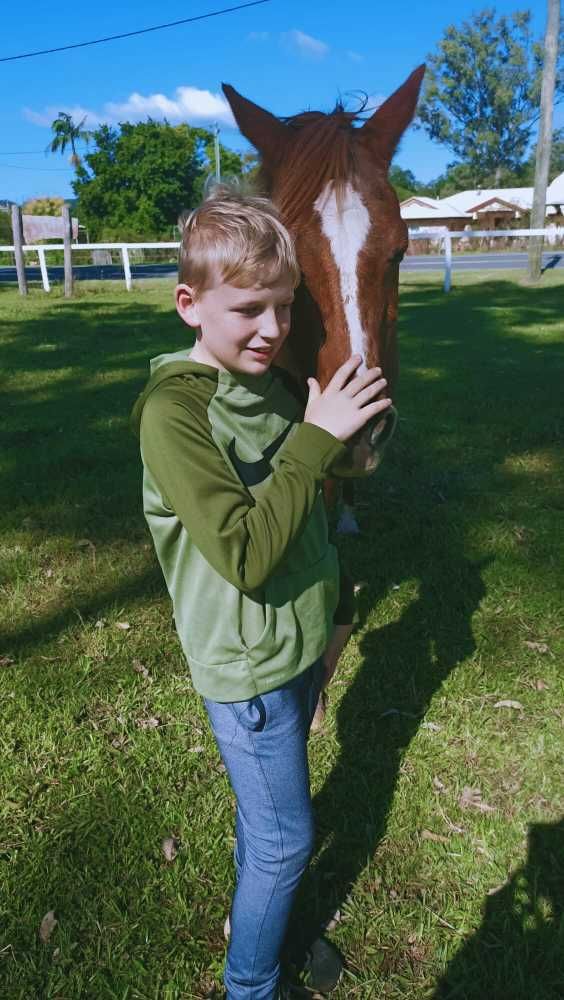 A Young Boy is Petting a Brown Horse in a Field — Equine Alliance in Palmwoods, QLD