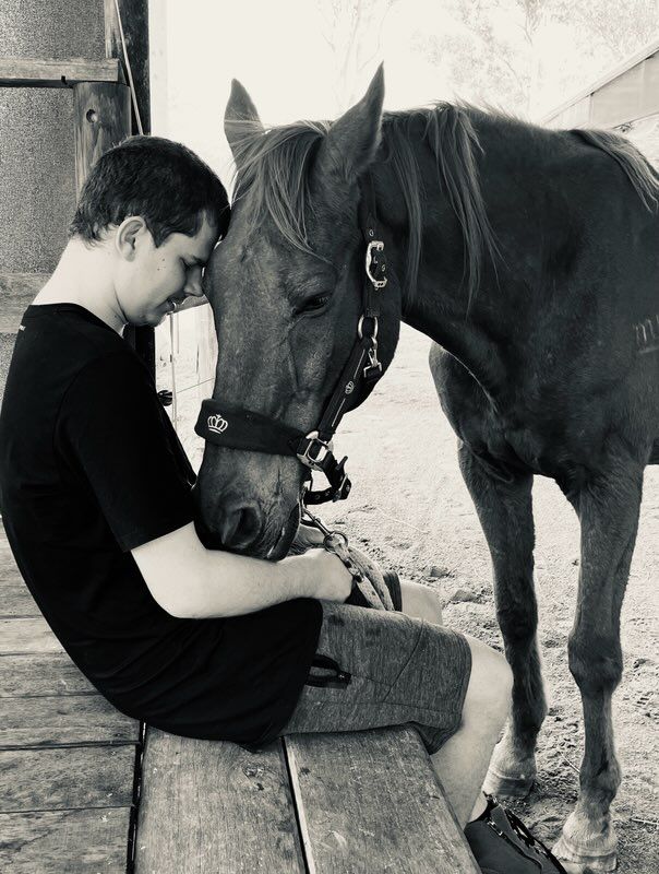 A Little Girl is Kneeling Down in Front of a Group of Horses — Equine Alliance in Palmwoods, QLD