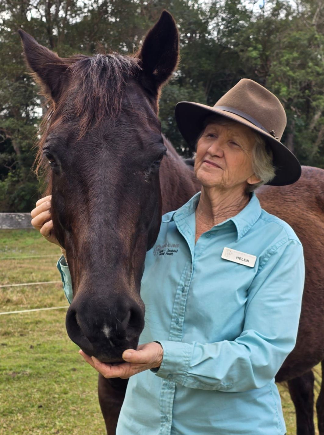 A Horse is Standing Next to a Woman — Equine Alliance in Palmwoods, QLD