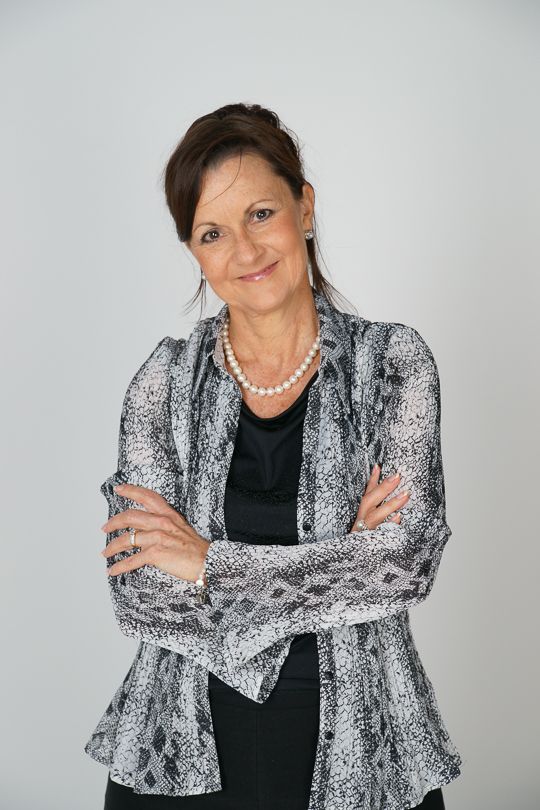 Three Horses Are Standing Next to Each — Equine Alliance in Palmwoods, QLD