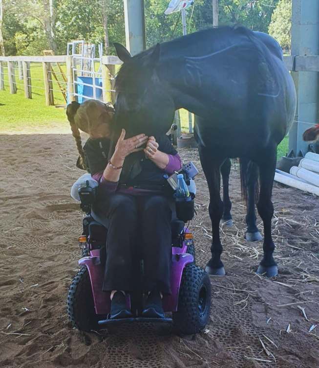 A Woman in a Wheelchair is Hugging a Black Horse — Equine Alliance in Palmwoods, QLD