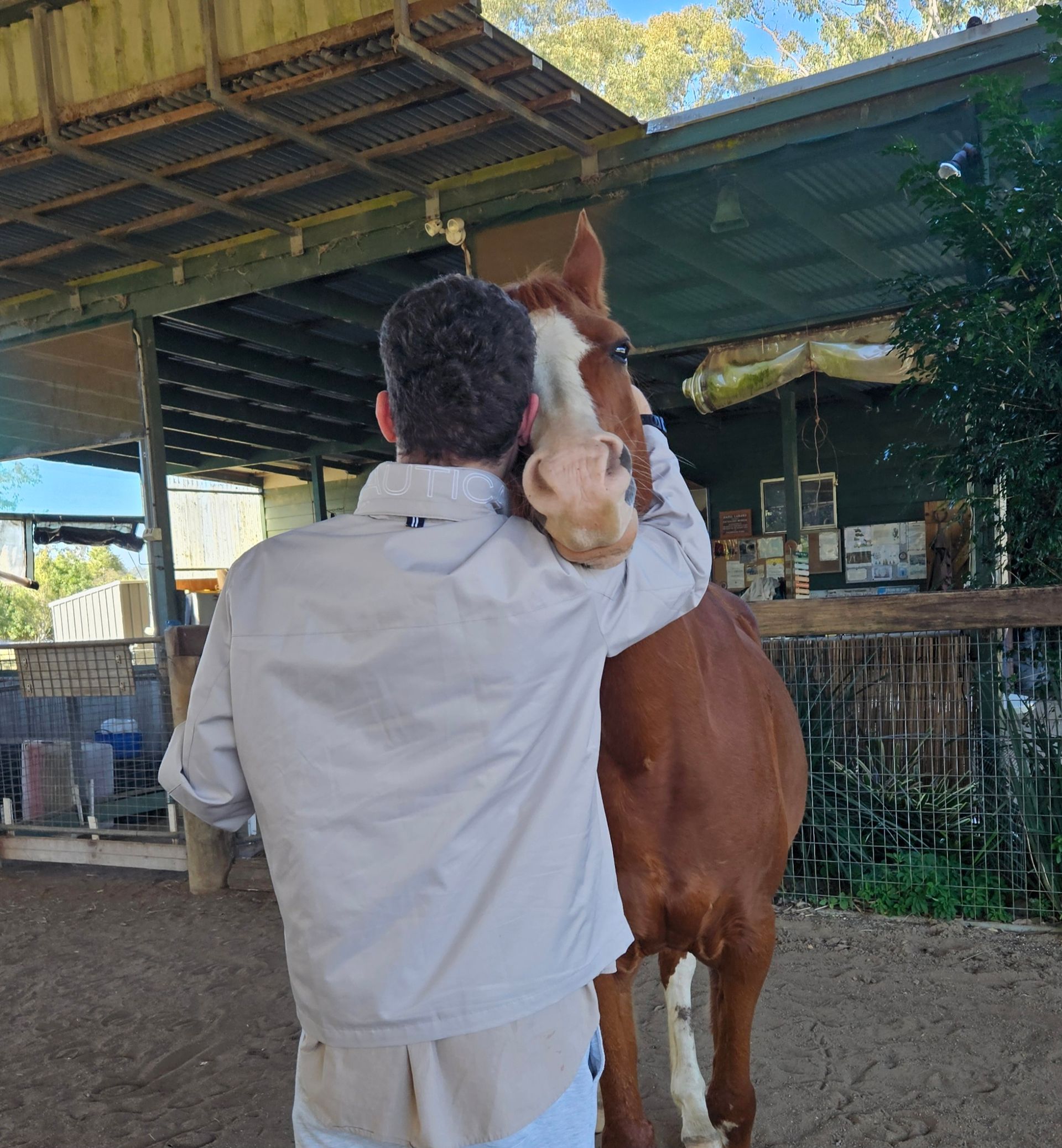 A Woman is Hugging a Black Horse in a Field — Equine Alliance in Palmwoods, QLD