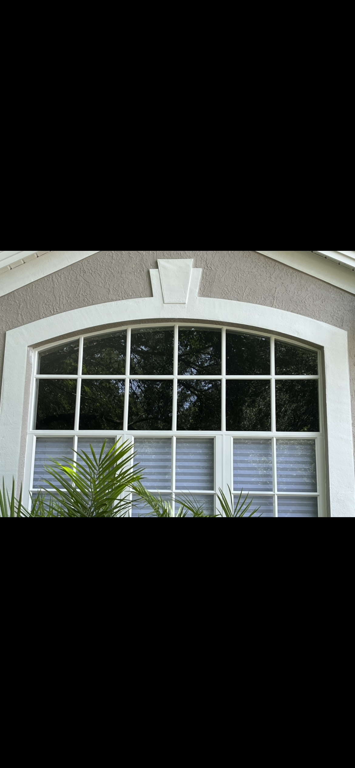 Large arched window with divided panes, set in a light-colored stucco facade; greenery below.