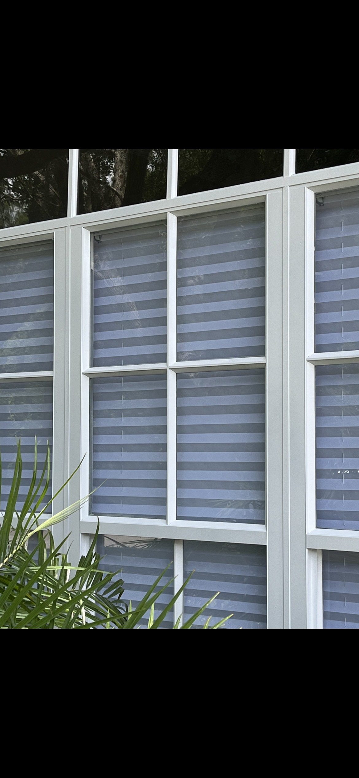 White windows with horizontal blinds, overlooking greenery.