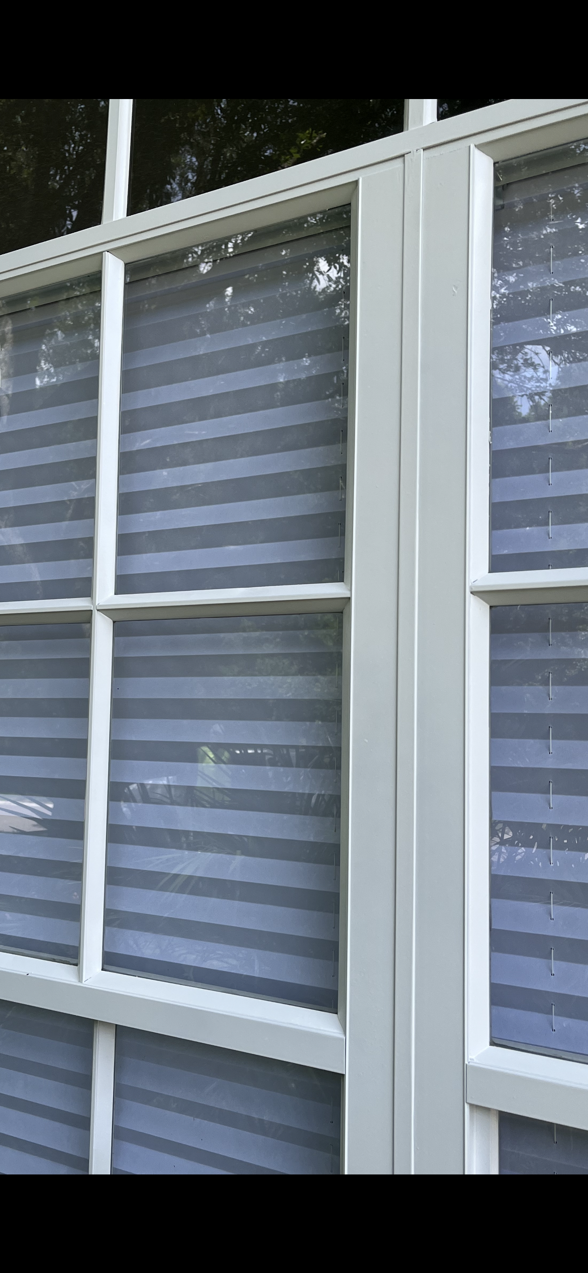 White window frame with pleated blinds; the view of foliage outside is visible.