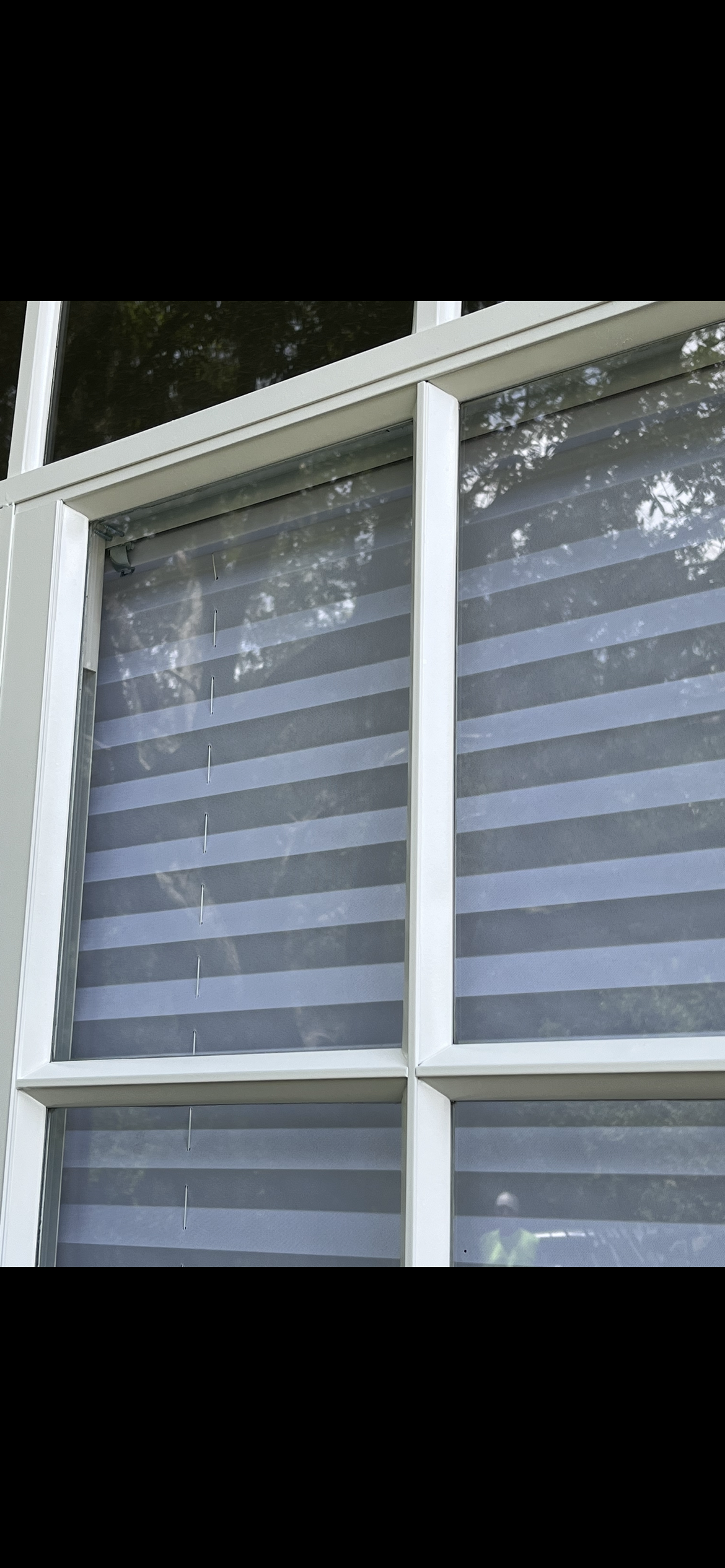 White-framed window with gray blinds reflecting trees.