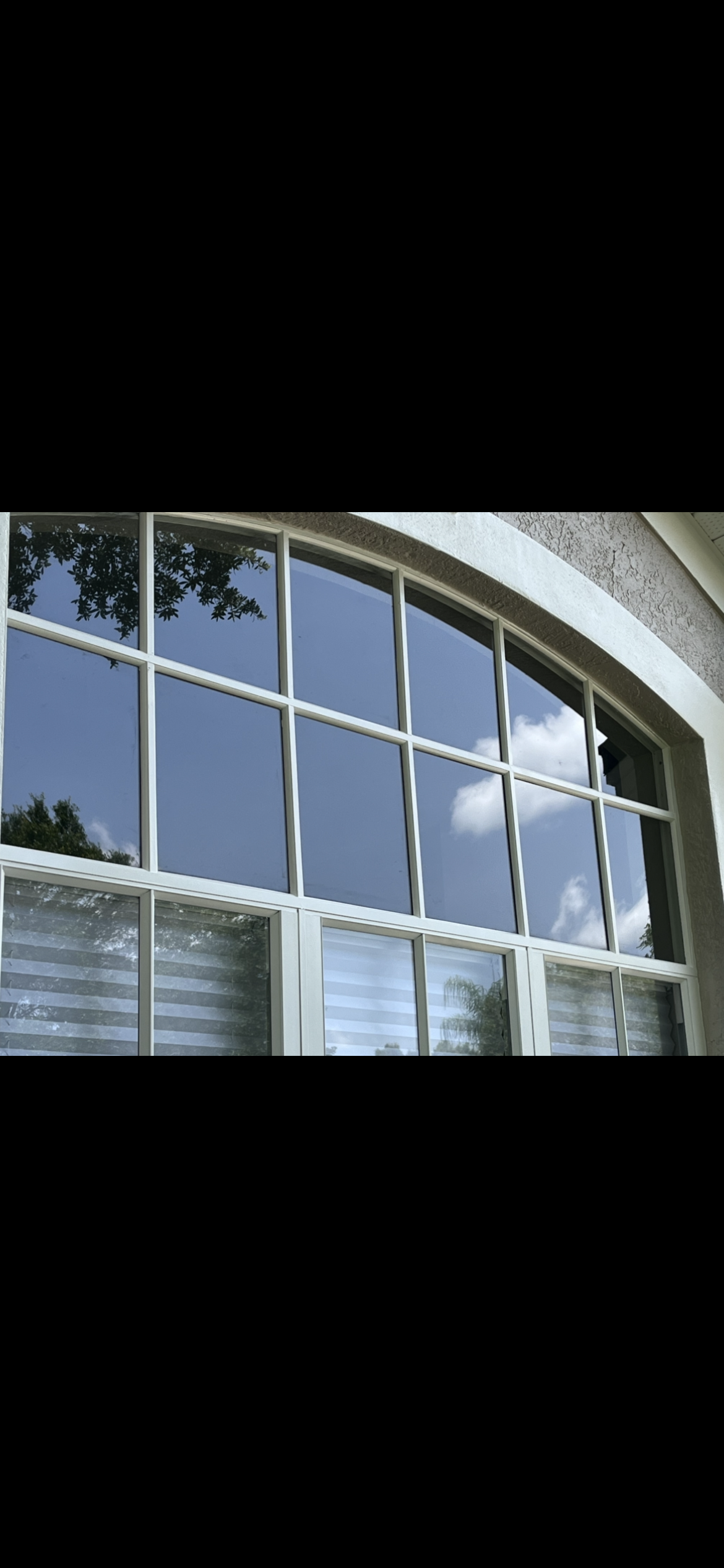 A large window with a curved top reflecting a bright blue sky and trees.