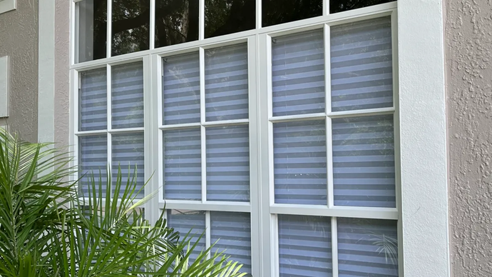 White-framed multi-pane window with pleated blinds; exterior view, beige stucco wall, greenery in foreground.