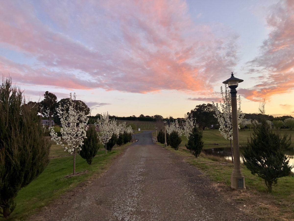 Tallagandra Hill Winery has become a popular Yass Valley destination. Photo: Tallagandra Hill.