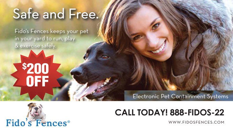 Fido's Fences Postcard